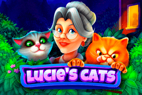 Lucie's cats